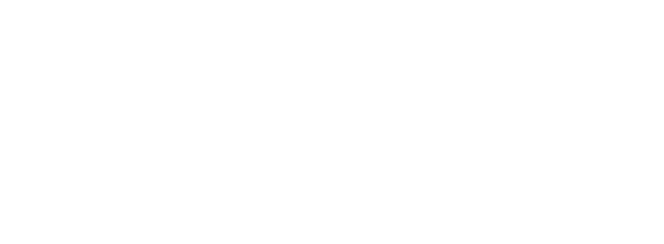 Voxel 3D